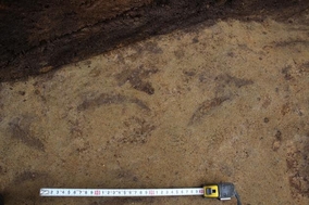 堀底面の掘削痕跡