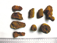 鬼板(高森台)・高師小僧(岩成台)