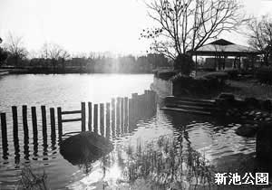 新池公園