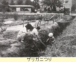 ザリガニつりを楽しむ