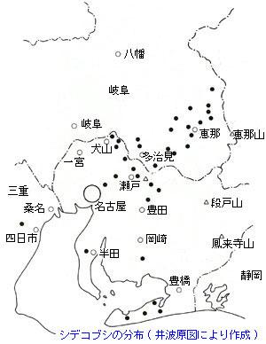シデコブシの分布