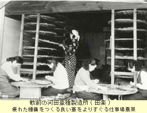 河田蚕種製造所