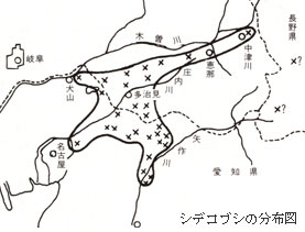シデコブシ分布図