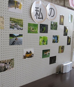 展示スペース