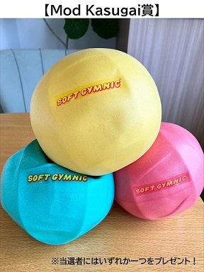 2024ModKasugai協賛品