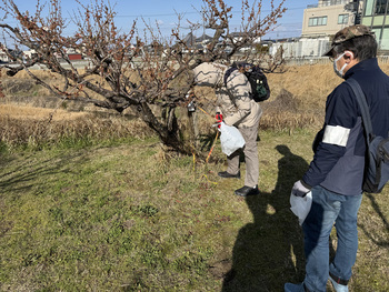 ゴミ拾いに従事する様子