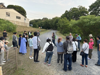 ホタルの観察会 集合