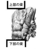 図5『龍』の側面図