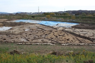 竪穴住居・掘立柱建物完掘状況