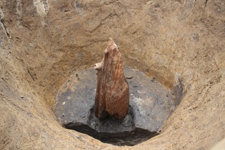 古墳時代掘立柱建物柱材検出状況