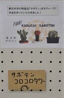 表示(サボテンコロコロタワー)