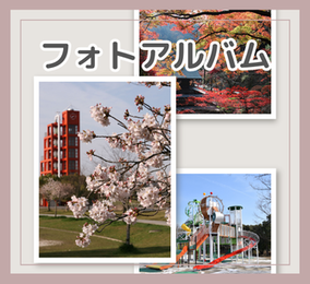 フォトアルバムへのリンク