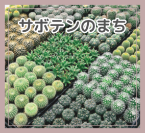サボテンへのリンク