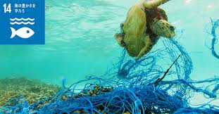 プラスチック写真4