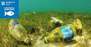 プラスチック写真2