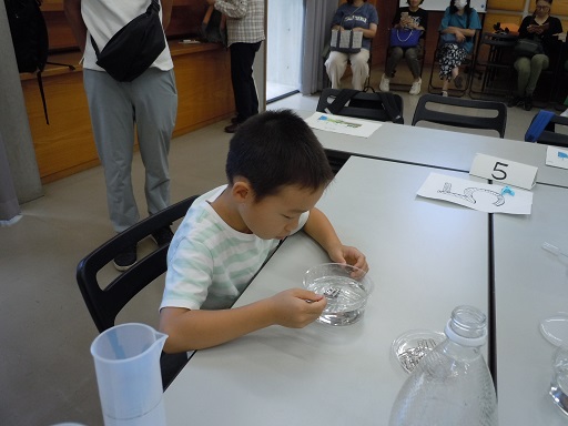 希少種を観察する様子