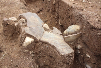 186Tr1区須恵器出土状況