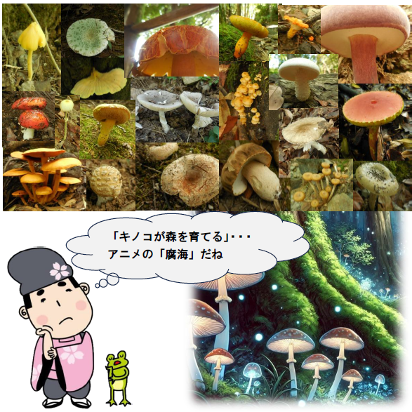21園内に出現したキノコたち 画像