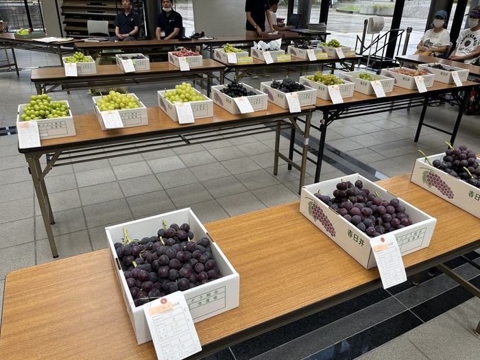 ぶどう即売