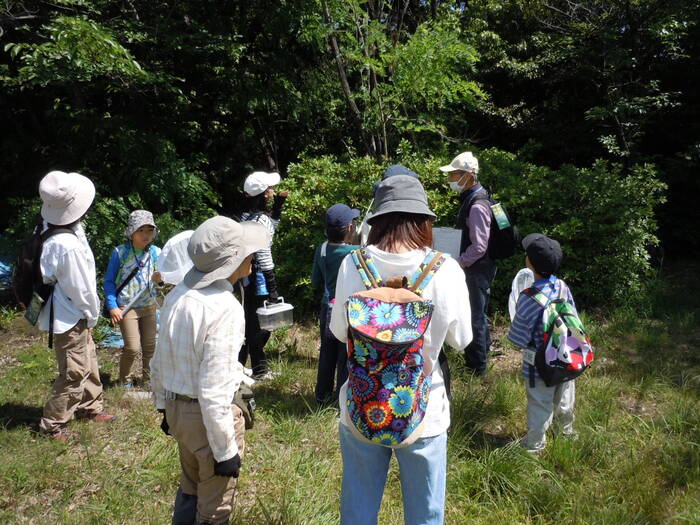 令和6年度　初夏の自然環境学習会(自然散策)