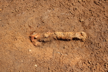 篠木第3号墳　馬具出土状況