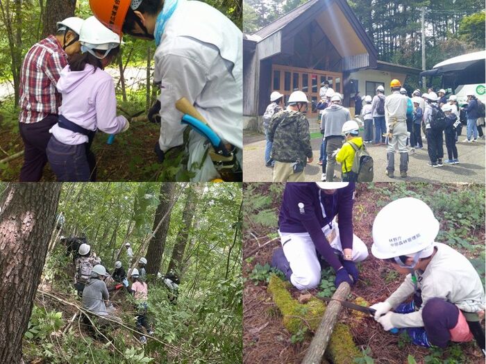 森林整備作業体験