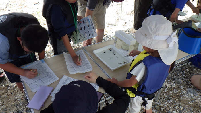 令和7年度　自然観察会(ガサガサ)当日写真2