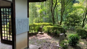 すみれつか