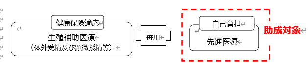 不妊治療(先進医療)