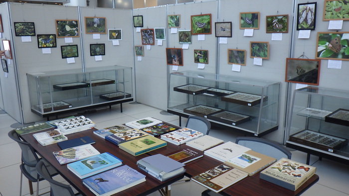 R8ギフチョウ展示会2